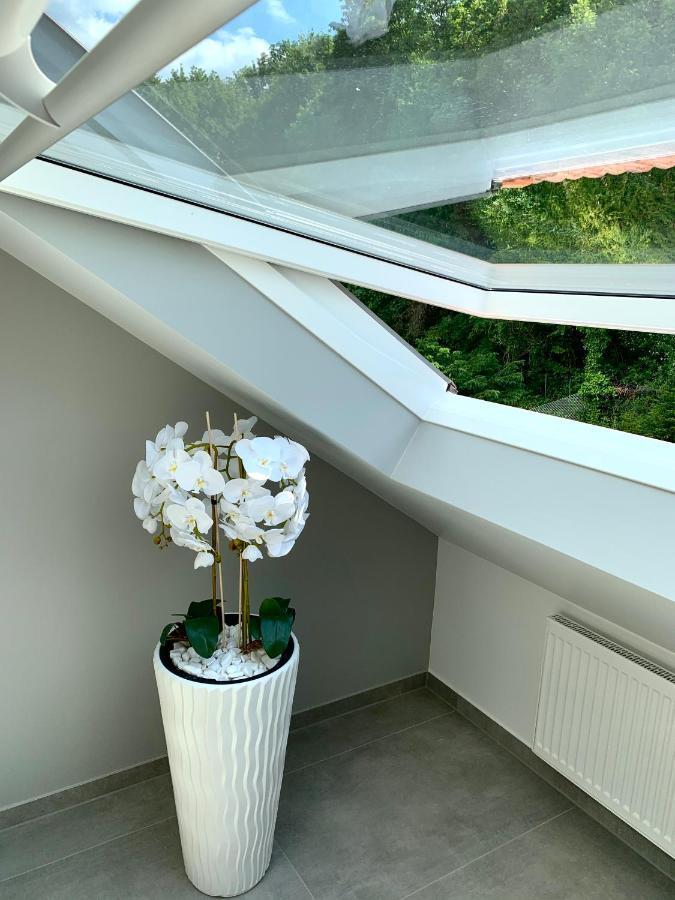 Six - One Seven Appartement Koblenz  Buitenkant foto